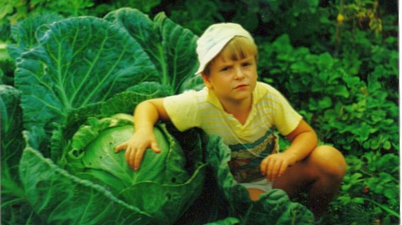   Капуста Московская поздняя. Сортсемовощ 1996 год.