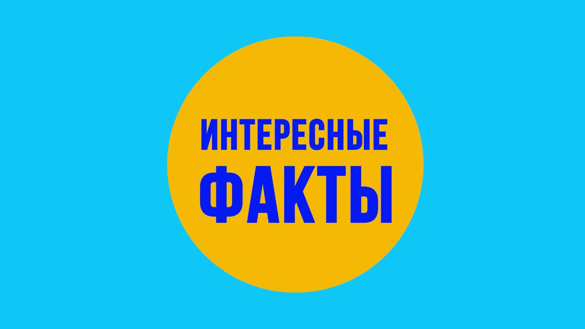 Рубрика интересные факты картинка