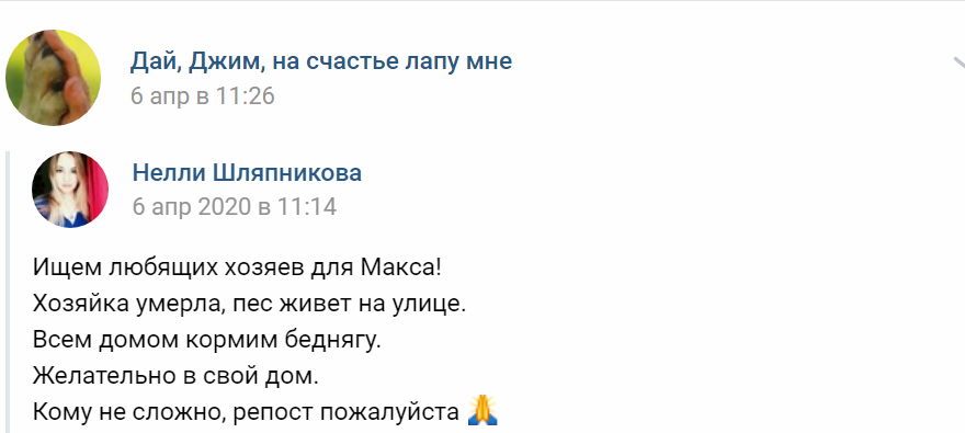 Пост в группе "Дай, Джим, на счастье лапу мне"