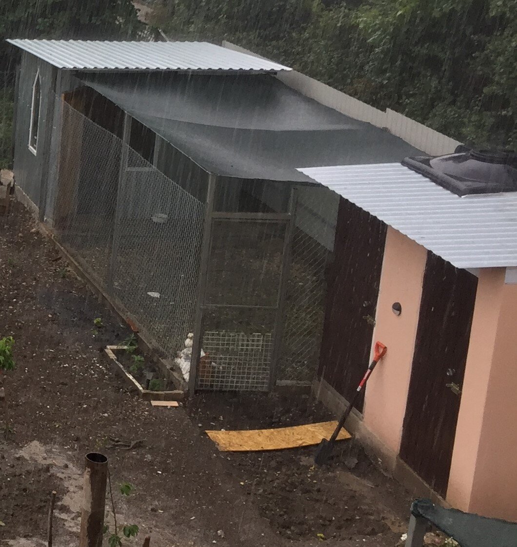 Фото из личного архива.