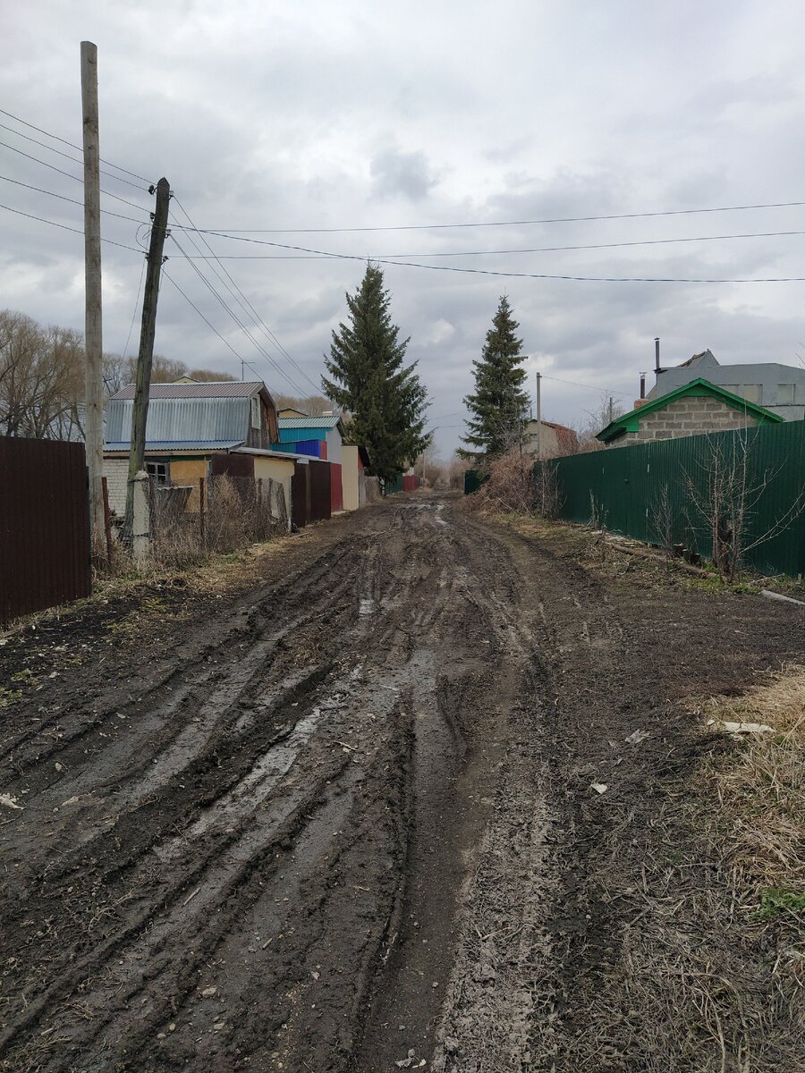 Дорога в садах.
