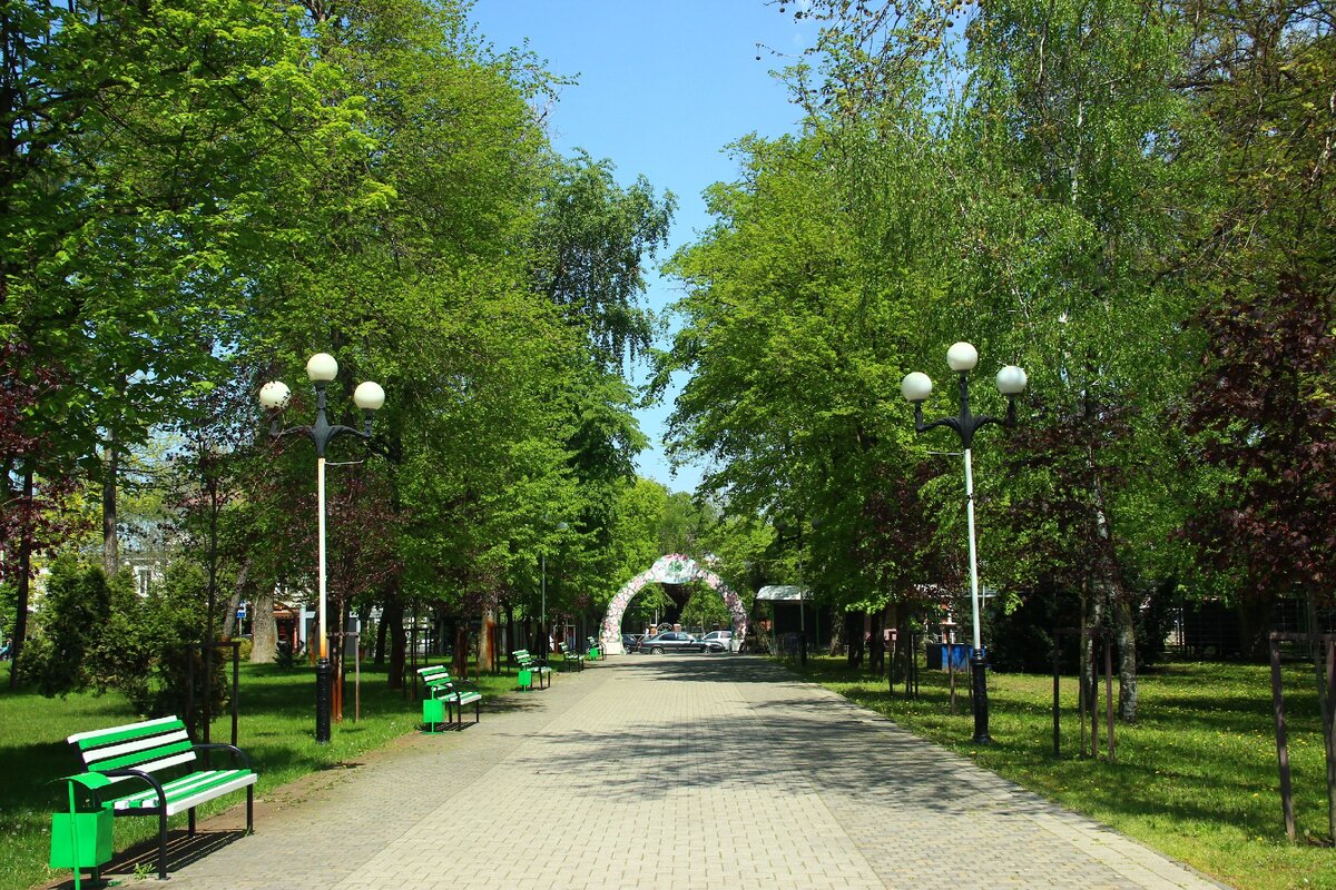 Фото из личного архива. Парк в г.Краснодар