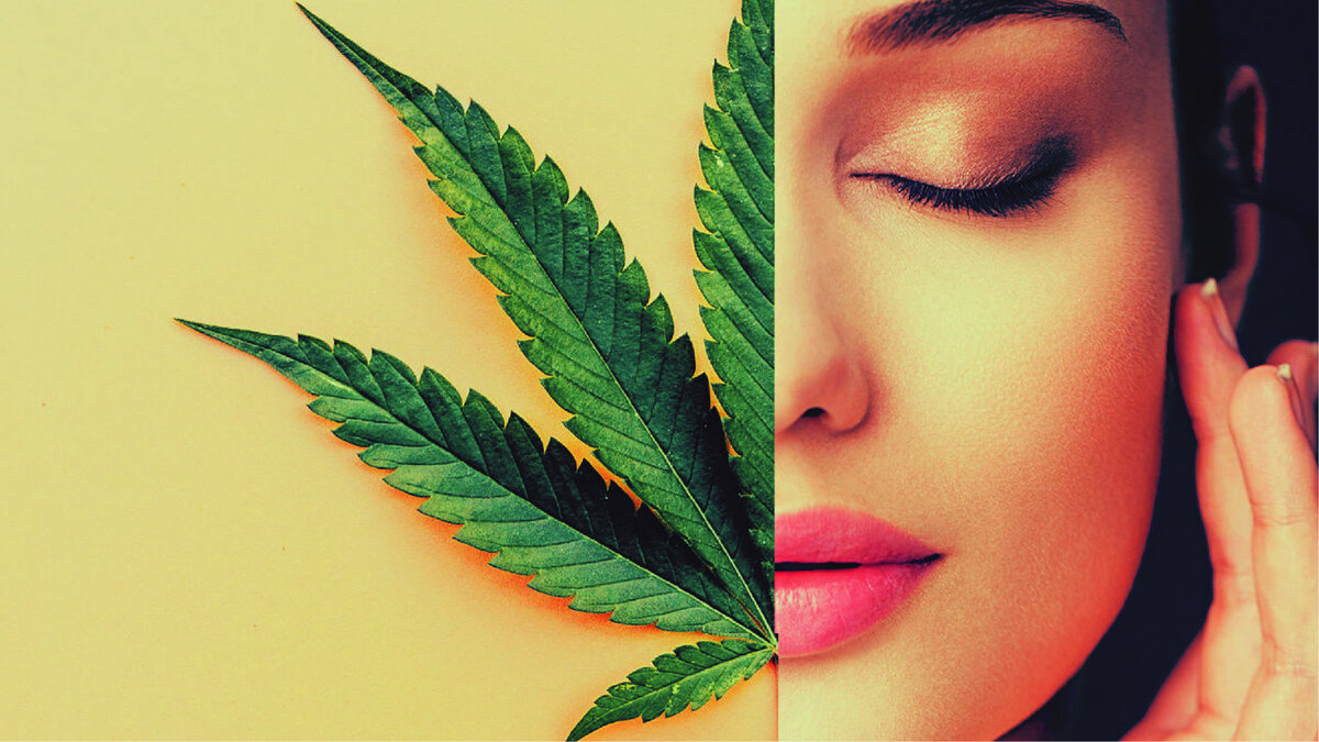  Журнал PROKonoplya # Выпуск №1 #  Зима 2019  Рубрика: Красота и здоровье 