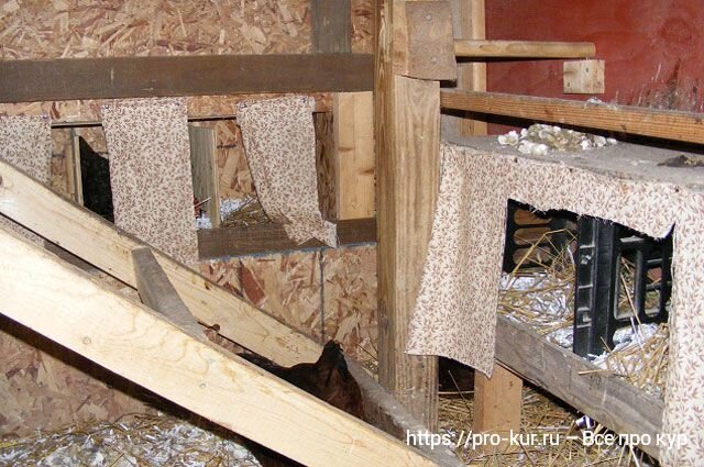 Как построить гнезда для кур несушек: размеры и технология
