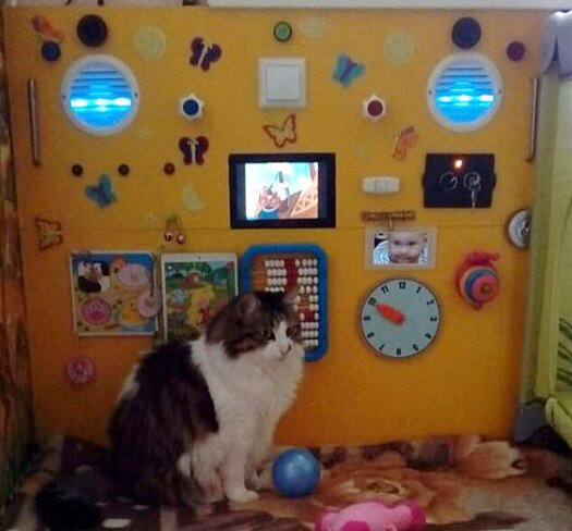 Бизиборд интересовал даже кошку.       