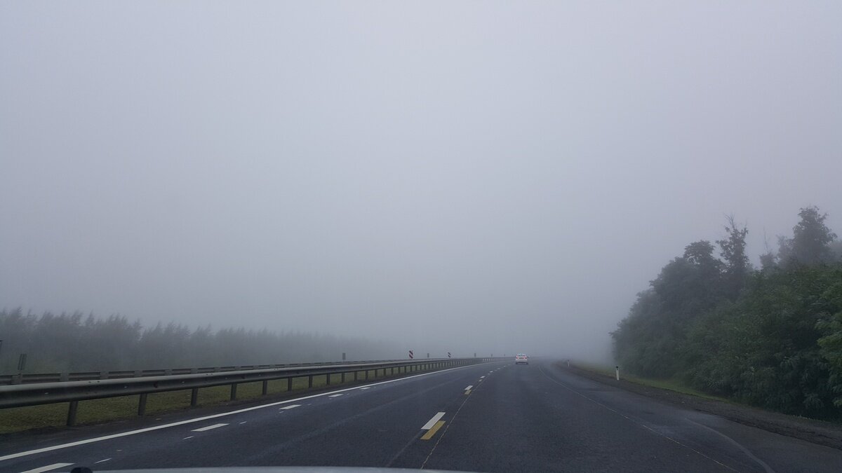 Туман на дороге