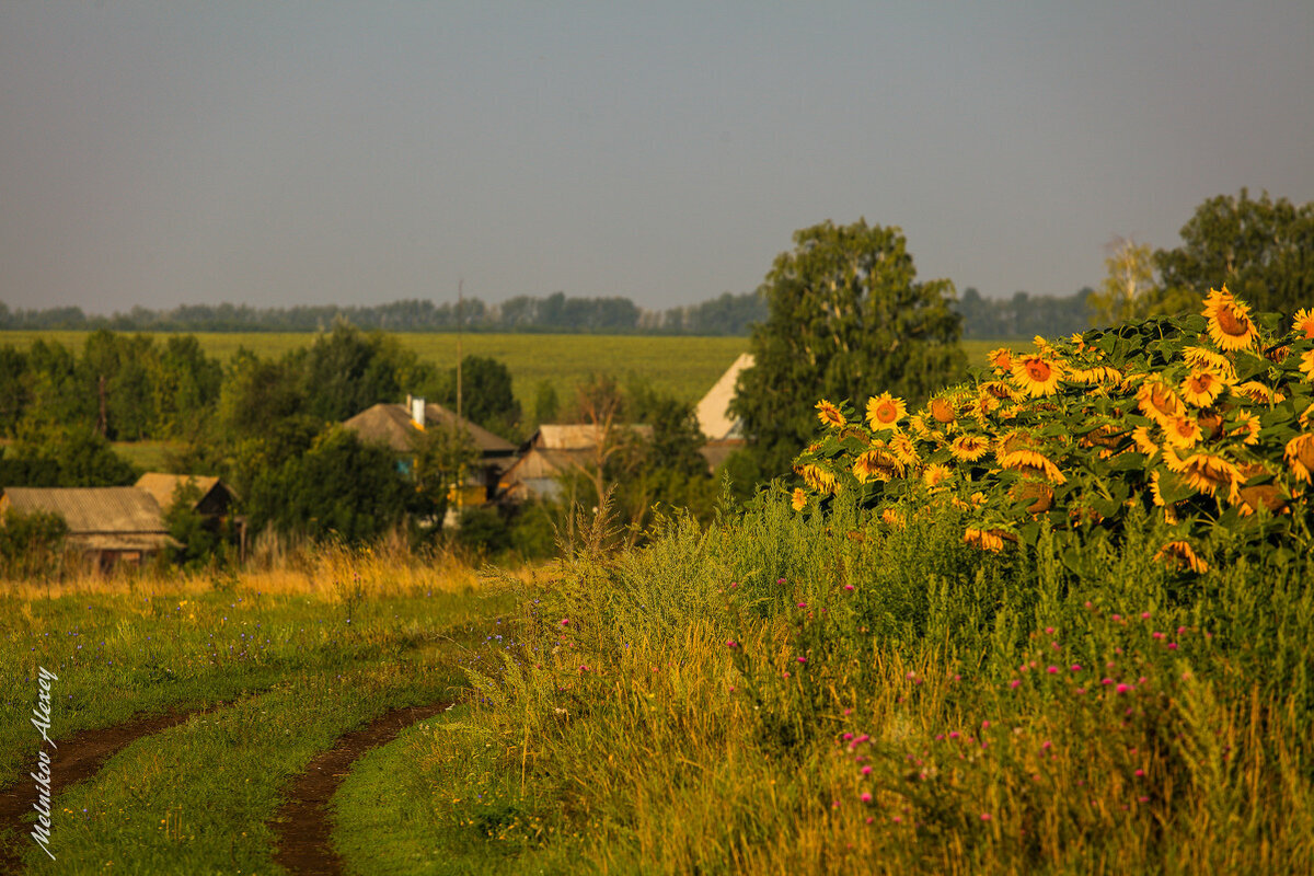 счастливый амулет кукуево. есенин деревня стихотворение. михаил кукуево дзержинск. кукуево. счастливый амулет кукуево.
