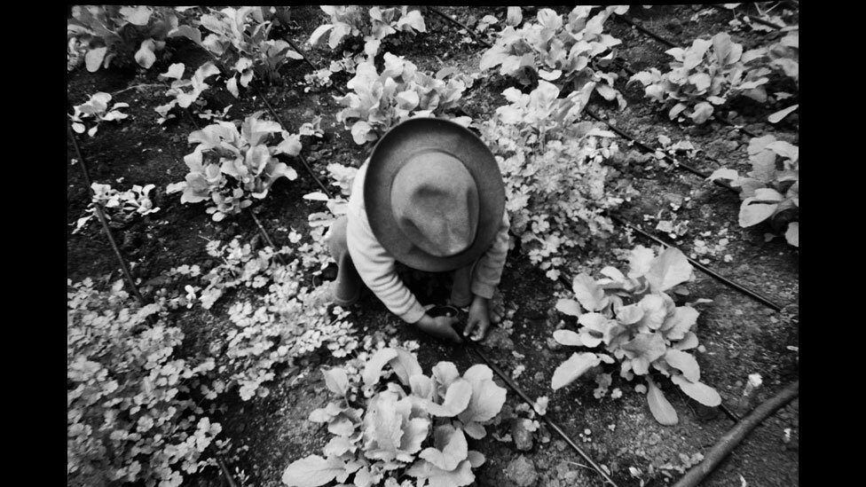 Кадр из фильма "Свадебная ваза".