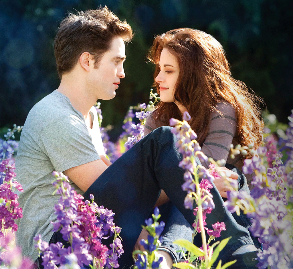 Сумерки картина. Bella and Edward.