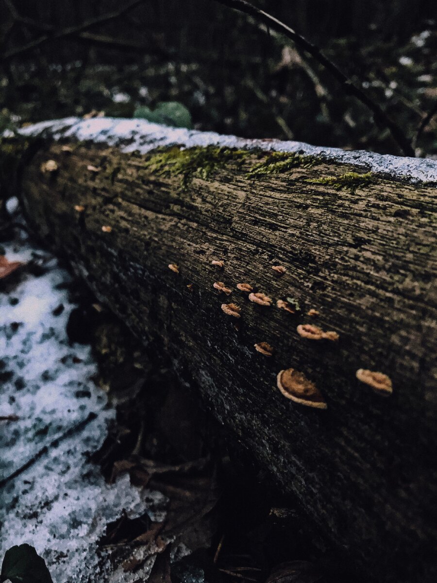 «Дело не в том, чтобы зарабатывать миллионы долларов или решать мировые проблемы. Твое призвание может состоять в заботе о семье или в выведении превосходного сорта тюльпанов. Главное – добиться полной ясности в вопросе «Что́ делает меня счастливым и дает ощущение полноценной жизни?» Важно определить это и сразу начать двигаться в направлении желаемого образа, а не делать вид, что не заслуживаешь его претворения в реальность.» 
