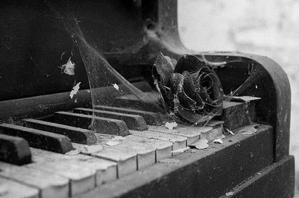 (Фото из интернета) 