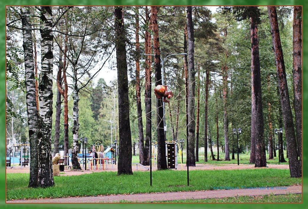 Живописный паук и спортивные силовые снаряды.