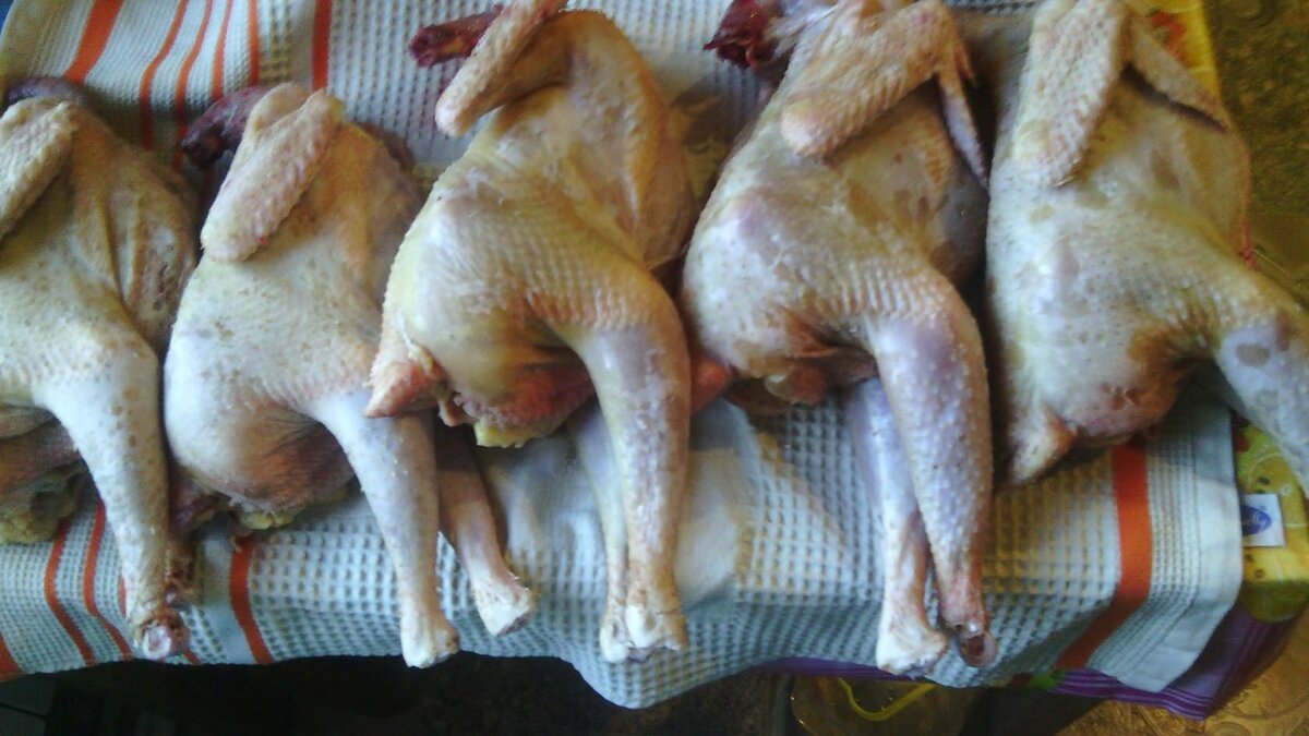 Не только индейка, у тебя будет и своя курочка. Когда ты её будешь варить, все соседи будут знать об этом. Аромат такой, что кружит голову.