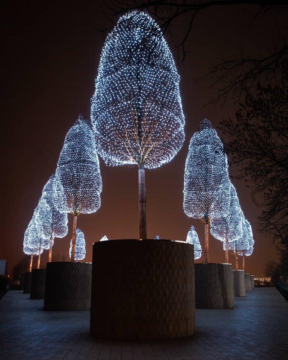 Фото автора. Сделано в прошлом году, но это место не изменилось и в этом году.