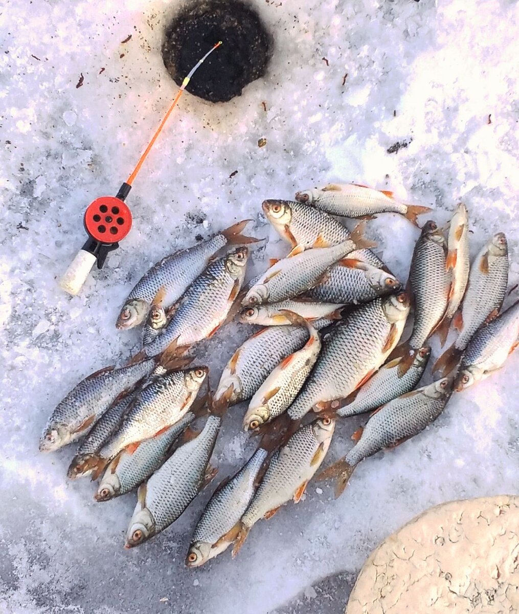 Зимняя рыбалка