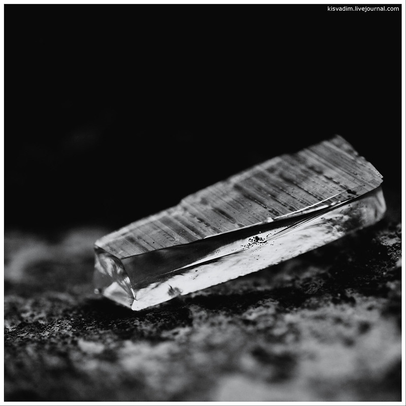 Изображение взято с сайта Flickr.com