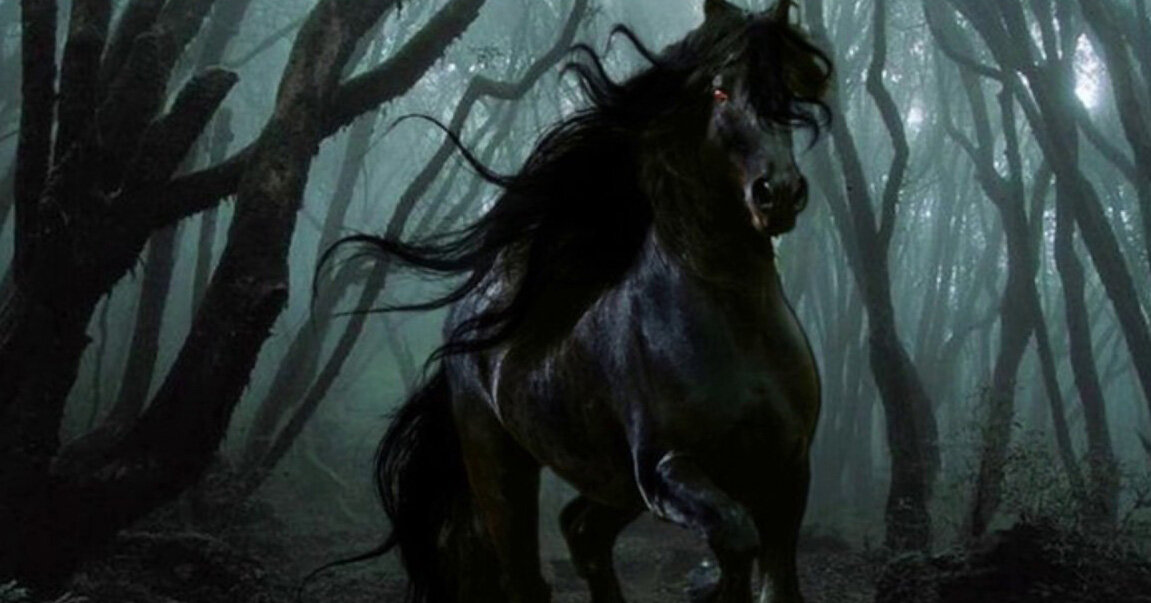 яндекс картинки