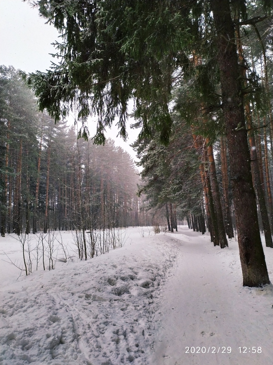 Лес - лучшее место для восстановления сил. 
