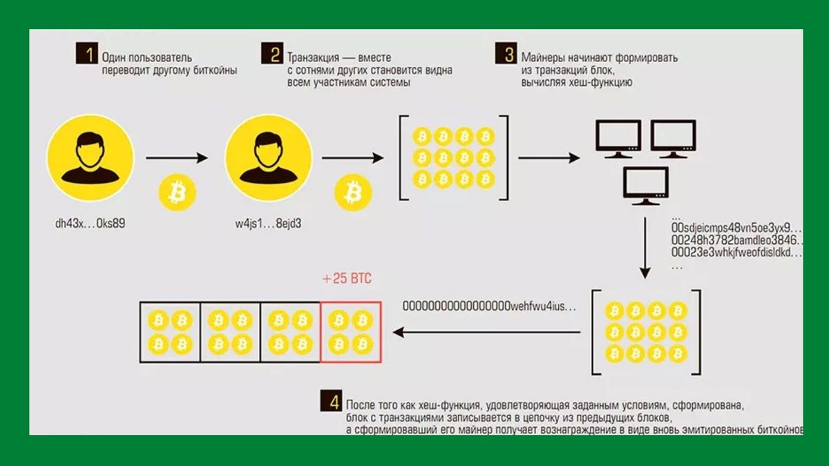 Сколько транзакций биткоин. Bitcoin транзакции в день. Транзакция биткоина структура. Хэш транзакции биткоин. Таблица транзакций Биткина Минимализм.