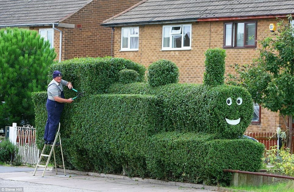 Изображение из открытых источников