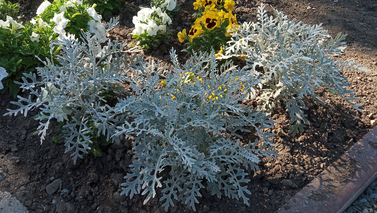 Листайте вправо - очень много фото