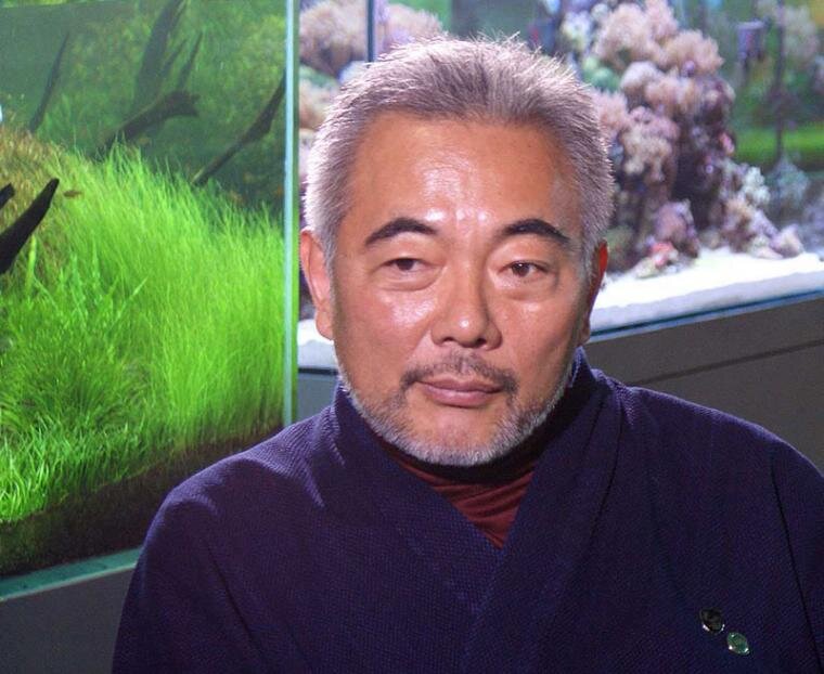 Такаши Амано, увидев твой аквариум, велит тебе совершить сэппуку до захода солнца.