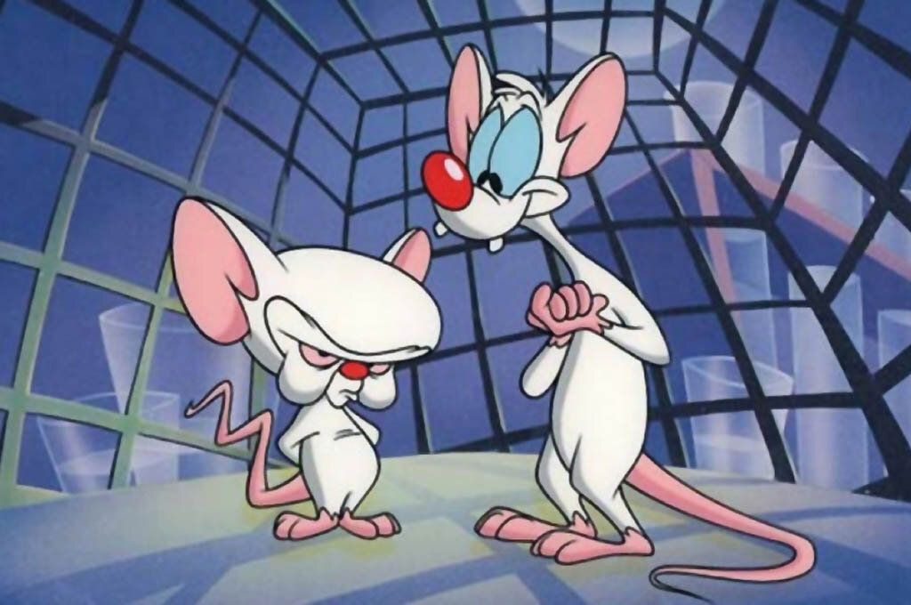 фото из интернета 