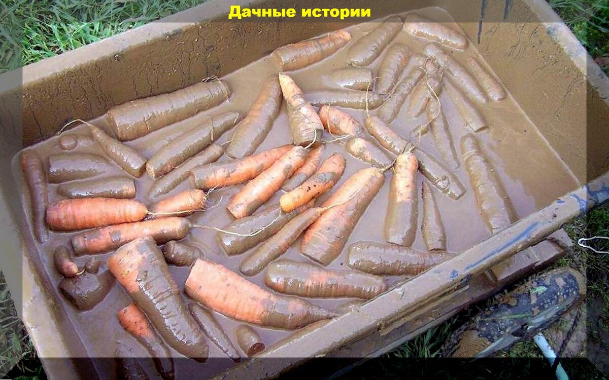 https://vk.com/photo-159774511_457249307