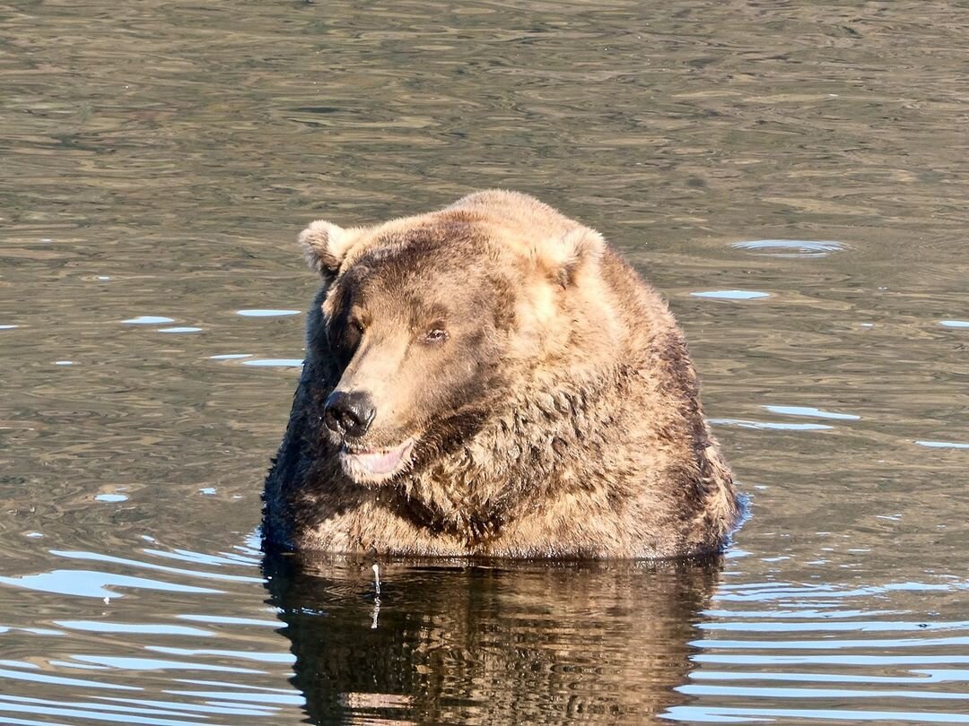 480 Отис. Фото: © instagram.com/katmainpp/