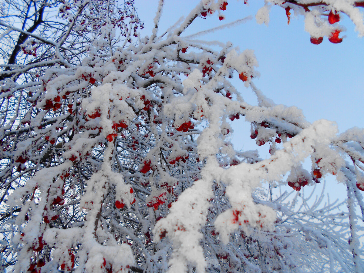 Зима в деревне - прекрасна. спору нет!