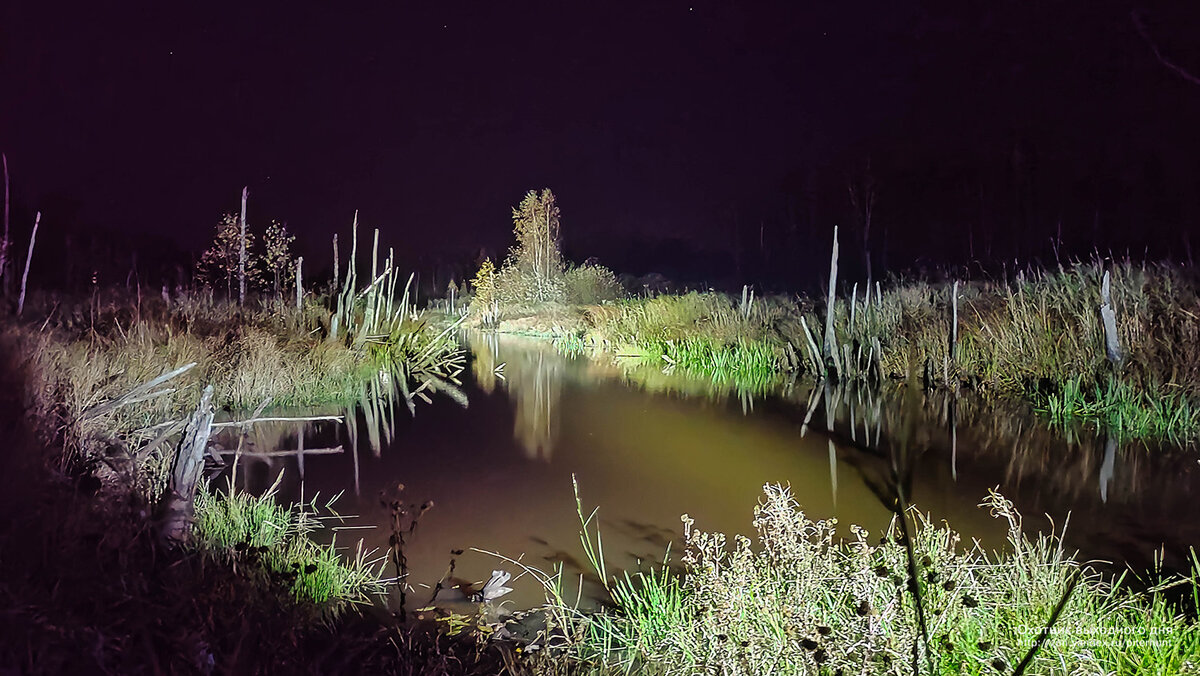 Пример работы фонаря Xiaomi Nextool на максимальной яркости  2000 Лм.