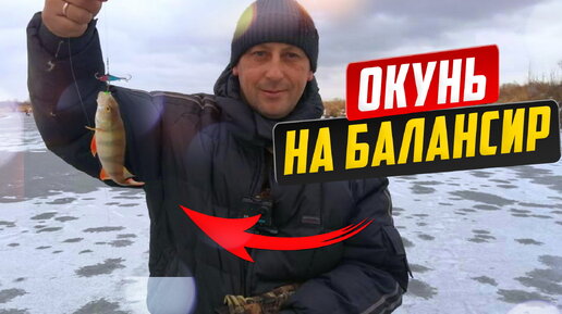 Окунь на балансир. Подводная съемка. - Смотреть видео онлайн