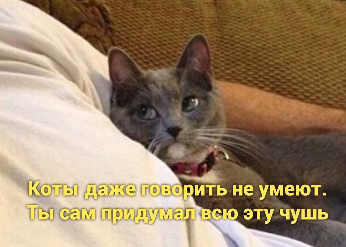 Чувак, он же просто смотрит на тебя