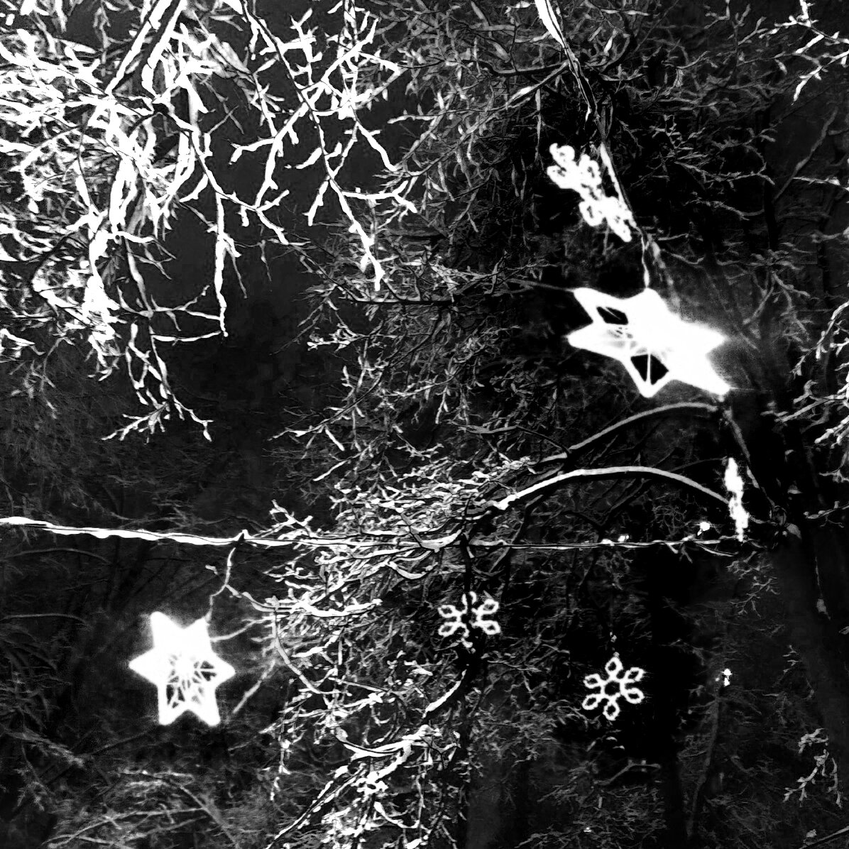 Гирлянда освещала деревья разными цветами, поэтому перевод картинки в монохром позволил мне задать, какие исходные цвета должны быть "белыми", а какие - "чёрными". Разумеется, что эта фотография тонально могла бы выглядеть совсем иначе, здесь уже роль автора.