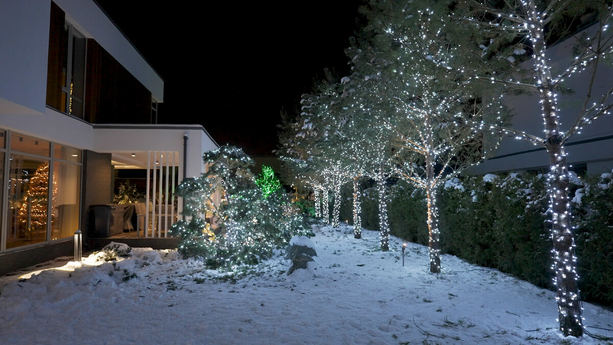 Иллюминация деревьев светодиодной нитью Rich LED