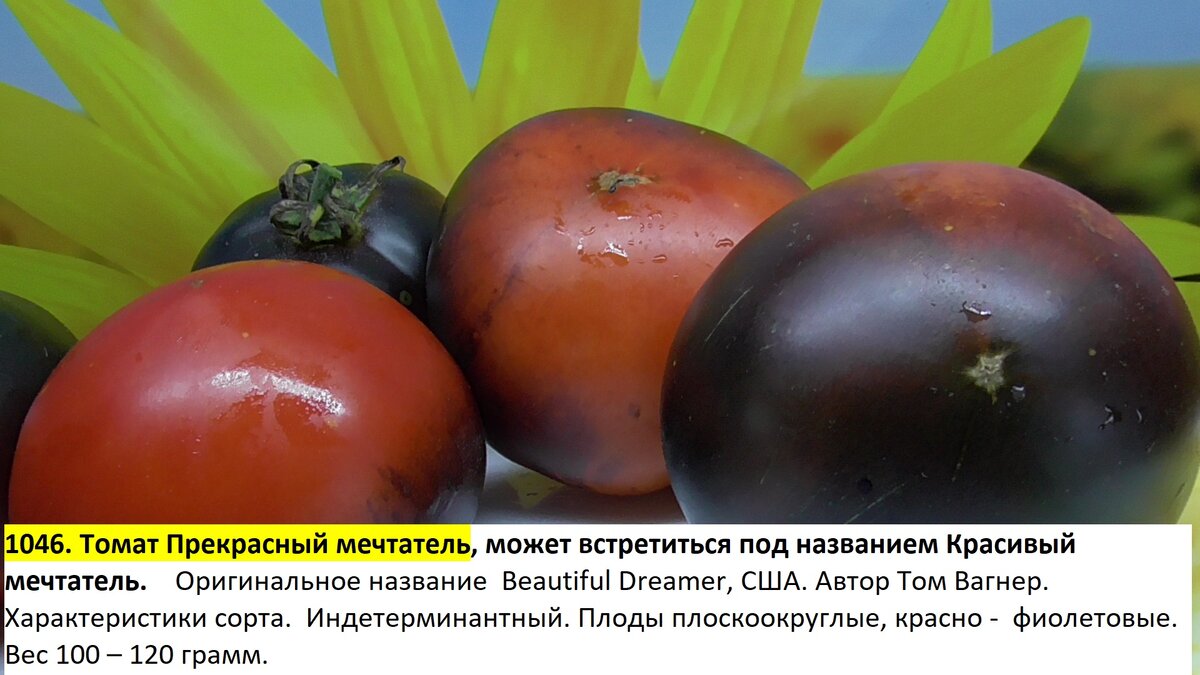 -191