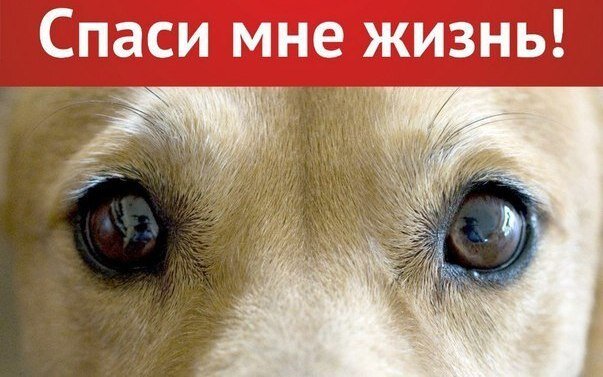 Из открытого источника