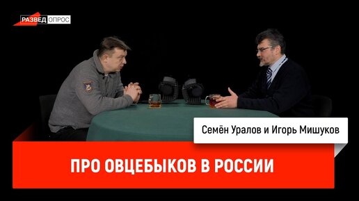 Игорь Мишуков про овцебыков в России