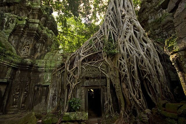 фото из храма Та Пром