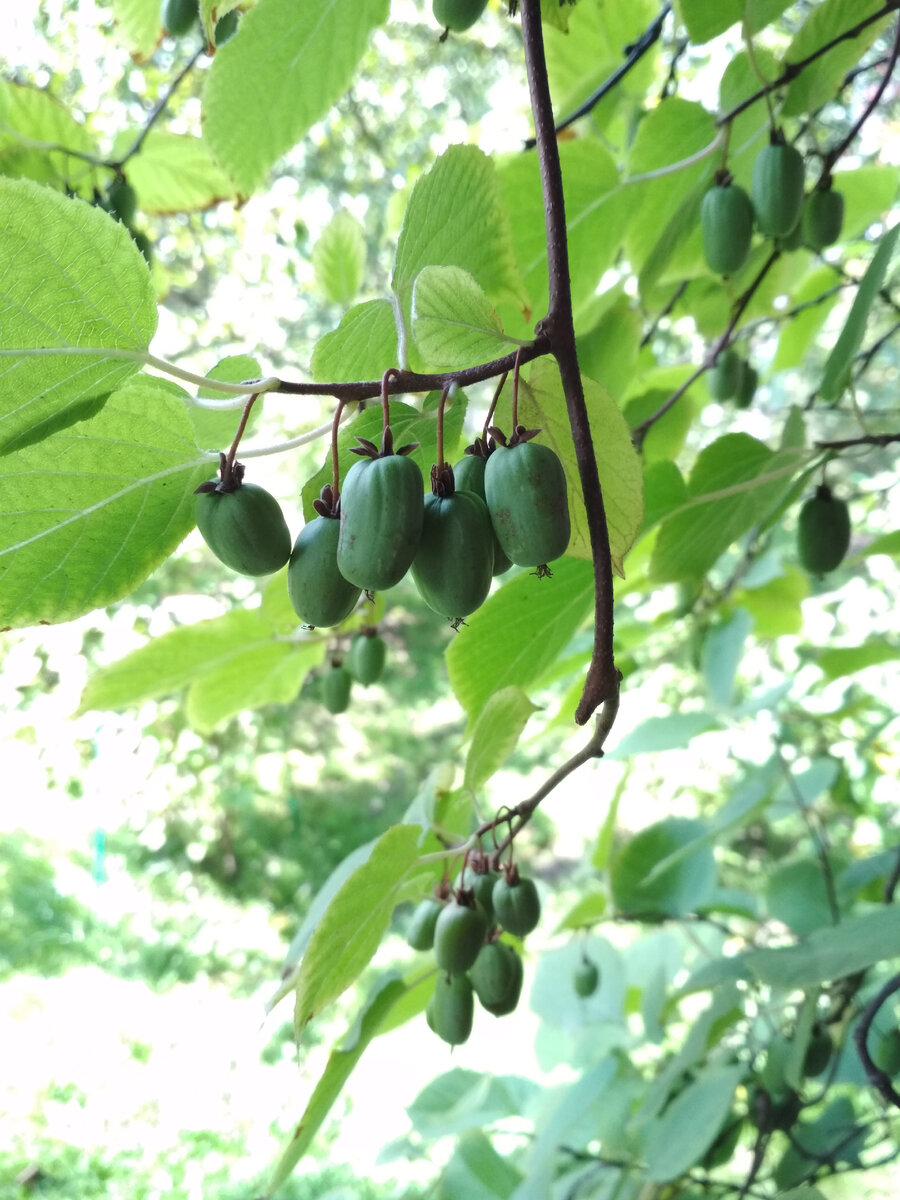 18 августа 2022 г. 