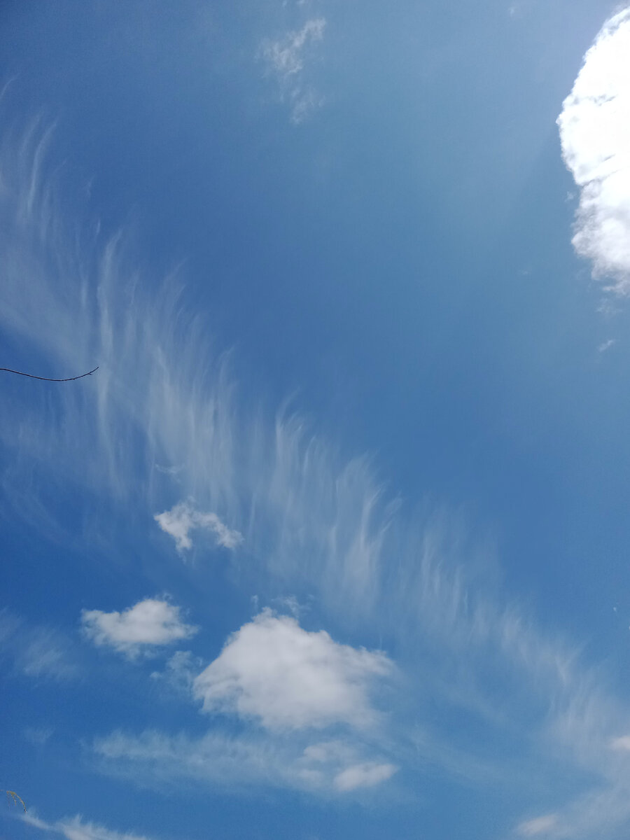 Так радует голубое небо и солнце, что-то правда редко оно нас радует в последнее время...