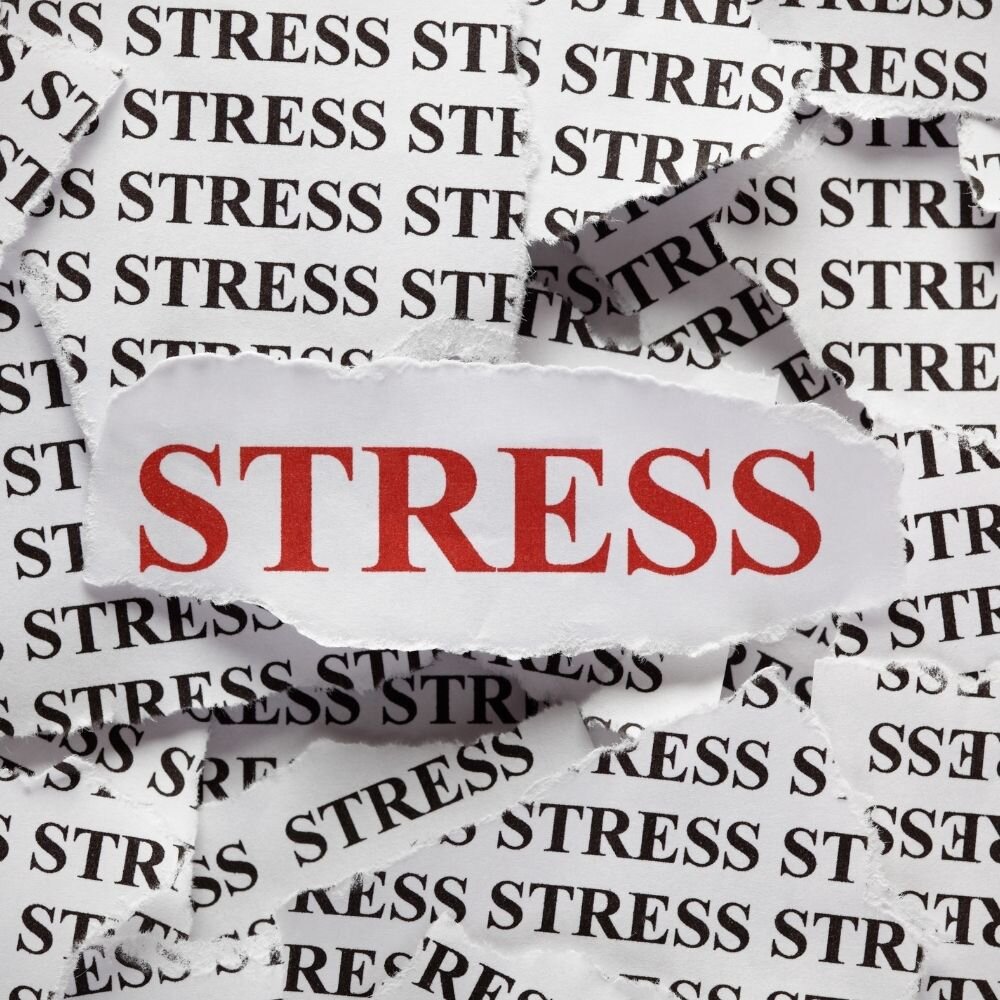 Наше тело— хранитель стресса