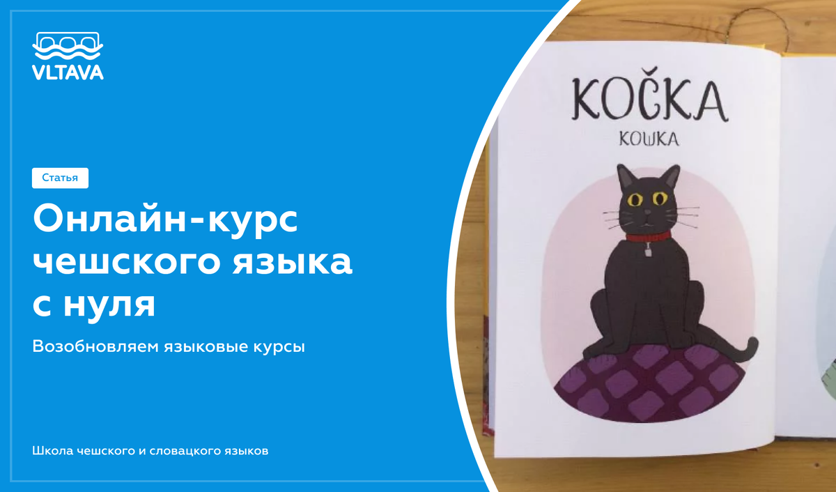 Онлайн-курс чешского языка с нуля | VLTAVA – школа чешского и словацкого  языка | Дзен