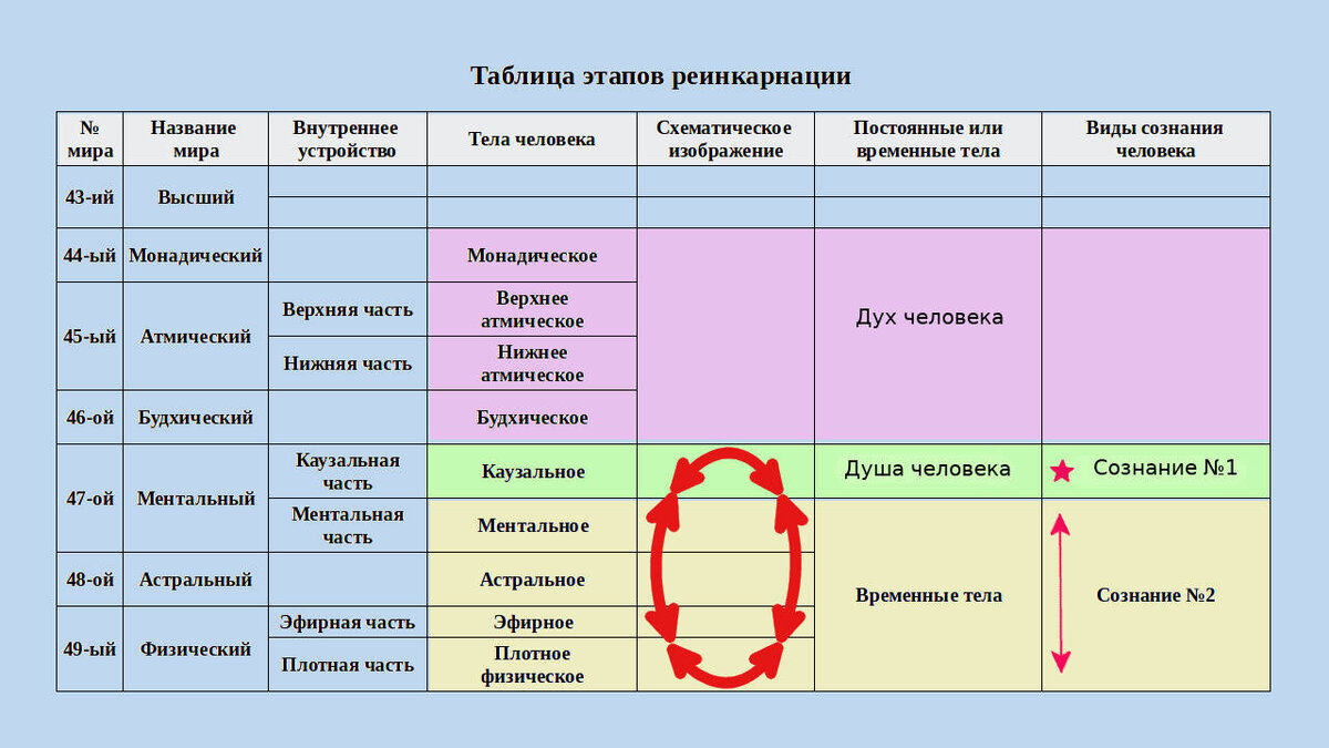 У меня каждую неделю новая профессия 652