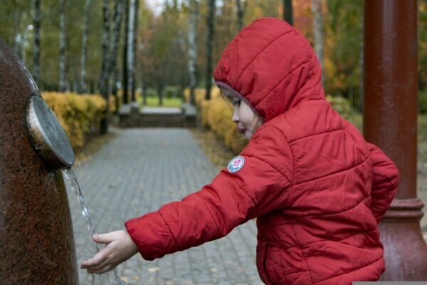    Фото: pixabay.com