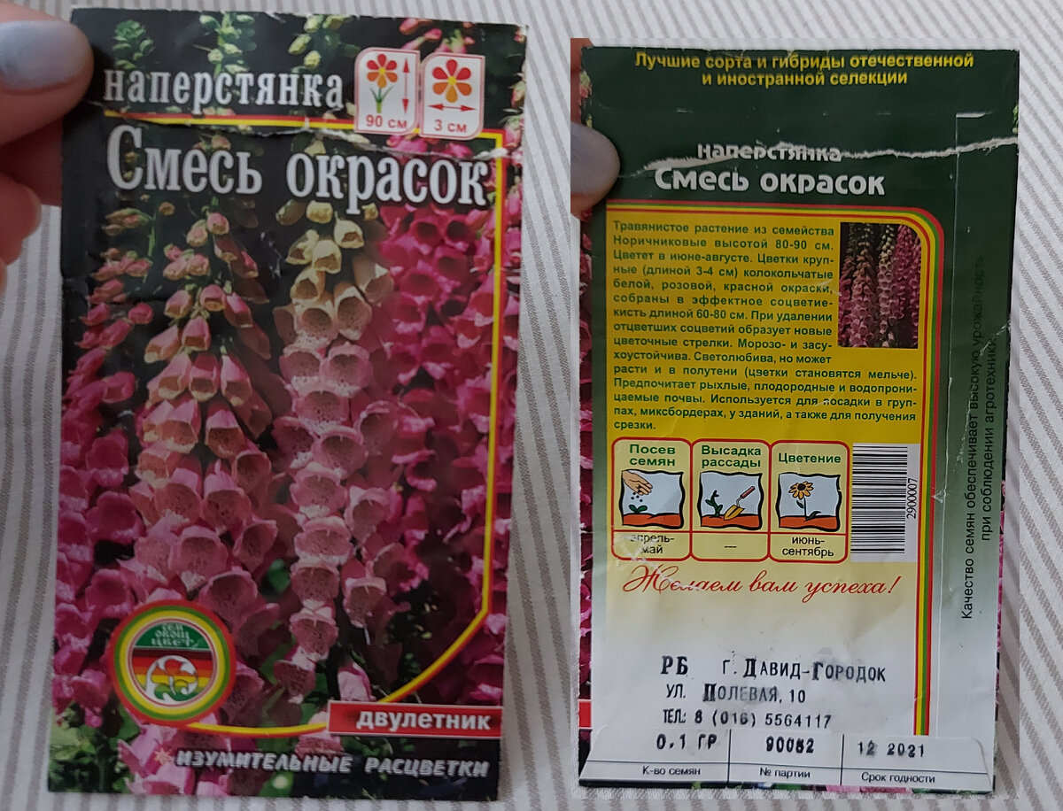 Наперстянка (фото автора) 