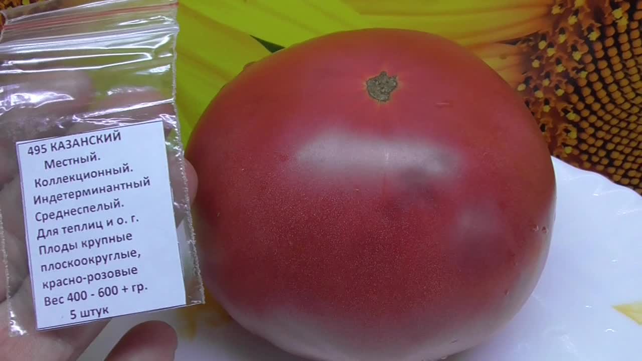 Томат казанский местный. Огородная Азбука Ольги черновой каталог семян томатов.