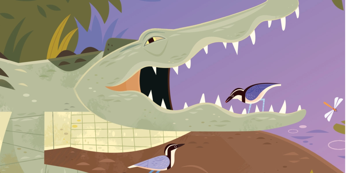 Изображение: Alexander Vidal / Dribbble 