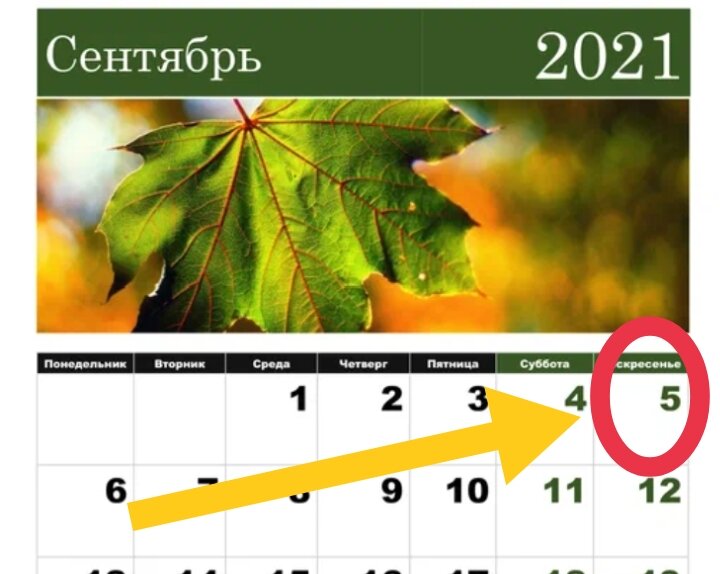 Личный архив 