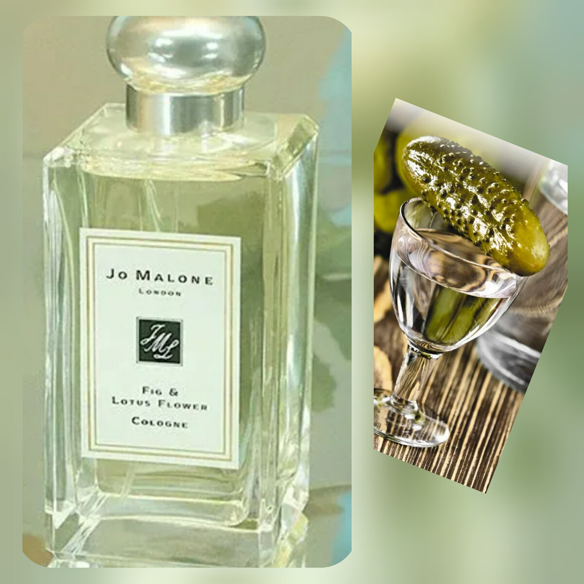 Jo Malone - Fig & Lotus Flower | Парфманьяк обыкновенный | Дзен